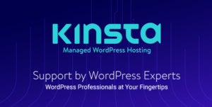 kinsta web hosting